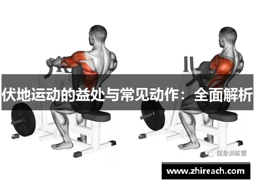 伏地运动的益处与常见动作：全面解析