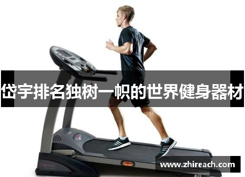岱宇排名独树一帜的世界健身器材