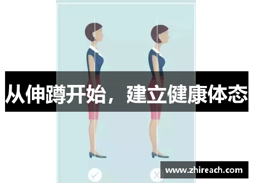 从伸蹲开始，建立健康体态