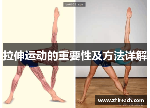 拉伸运动的重要性及方法详解