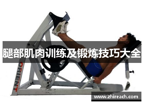 腿部肌肉训练及锻炼技巧大全