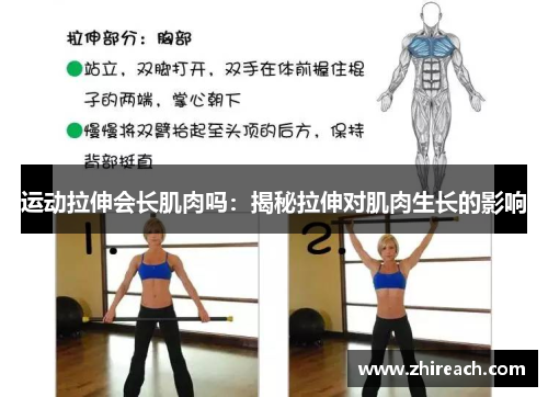 运动拉伸会长肌肉吗：揭秘拉伸对肌肉生长的影响